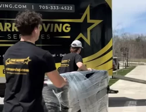 The Ultimate Guide to Choosing a Moving Company: How to Ensure a Stress-Free Transition